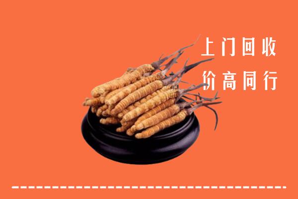 高价求购：孟连县回收散虫草